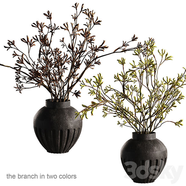 Decor with Kangaroo branches