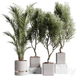 Indoor plants collection set 01 