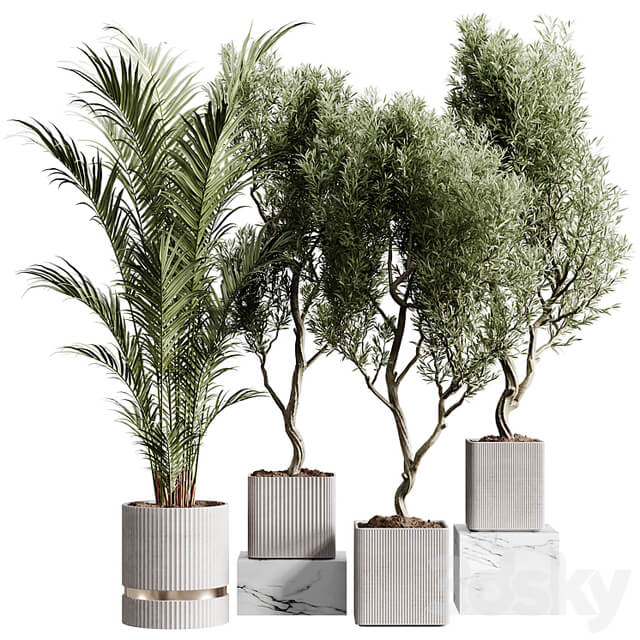 Indoor plants collection set 01