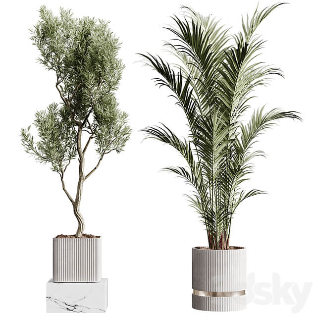 Indoor plants collection set 01