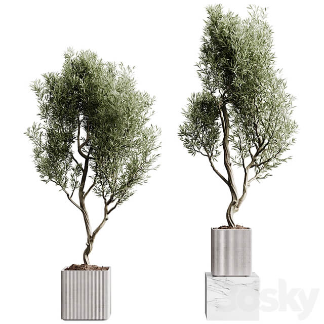 Indoor plants collection set 01