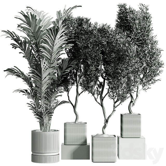Indoor plants collection set 01