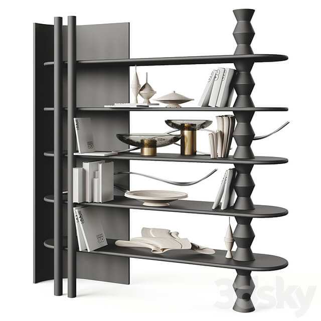 Ana Roque ALLY BookCase