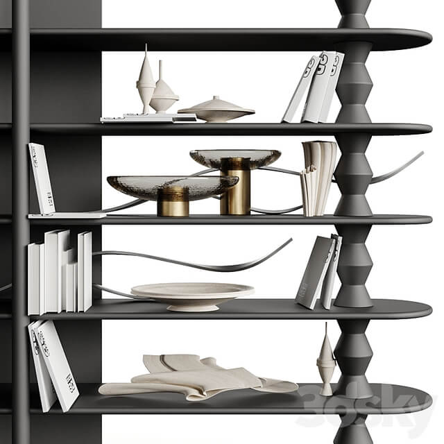 Ana Roque ALLY BookCase