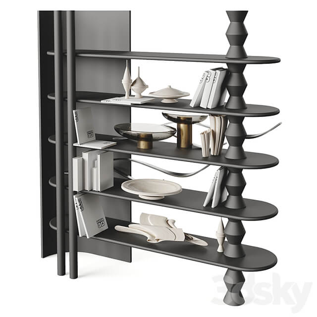 Ana Roque ALLY BookCase