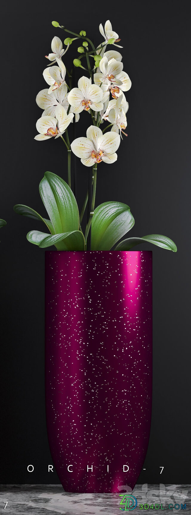 ORCHID 7 3D Models