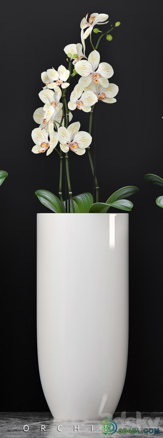 ORCHID 7 3D Models