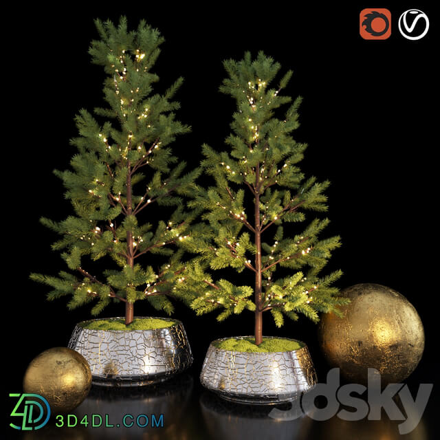 Decorative Tree Restoration Hardware 3D Models