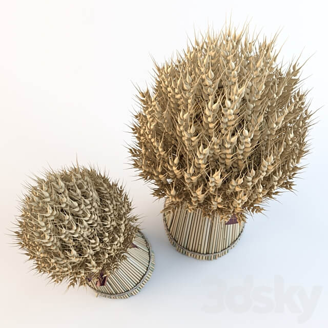 Decorative sheaves of ears 3D Models