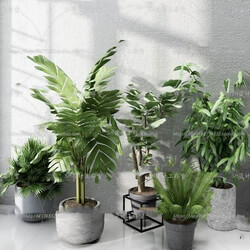 Indoor DTU19lQe 