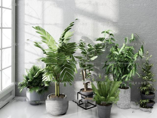 Indoor DTU19lQe