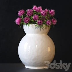 clover Flowers 3D Models 