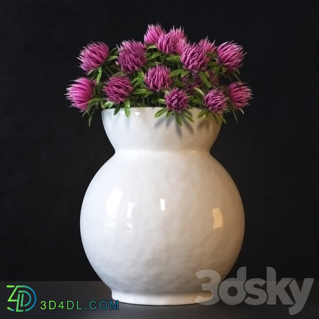 clover Flowers 3D Models