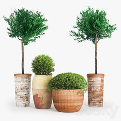 Clay Plant Set 3D Models 