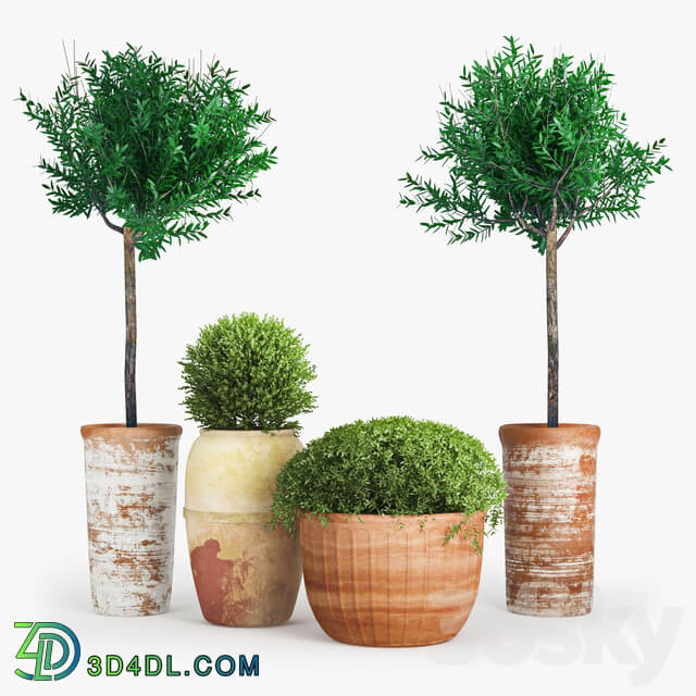 Clay Plant Set 3D Models
