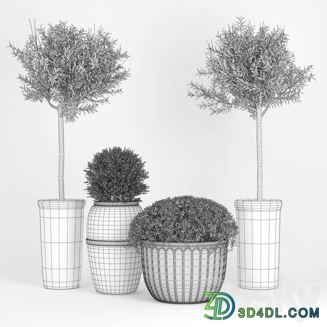 Clay Plant Set 3D Models