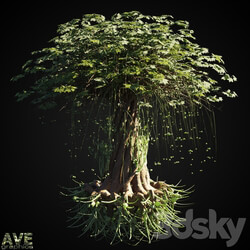 AVE Magic tree 3D Models 
