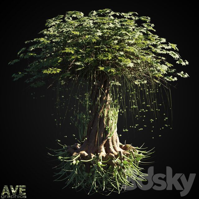 AVE Magic tree 3D Models