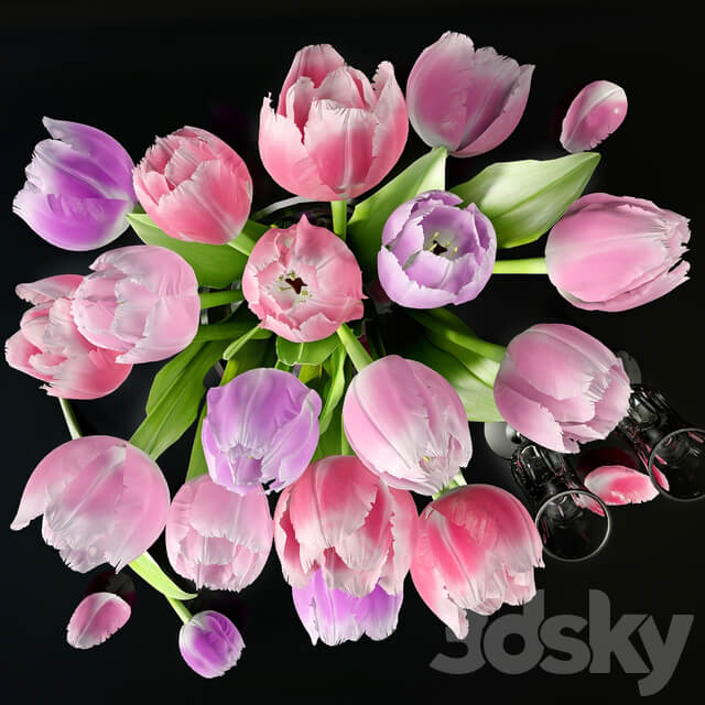 Vase with tulips 3D Models