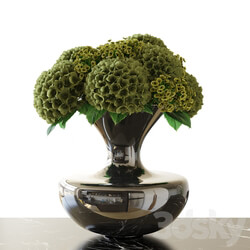 Bouquet Hydrangea 3D Models 