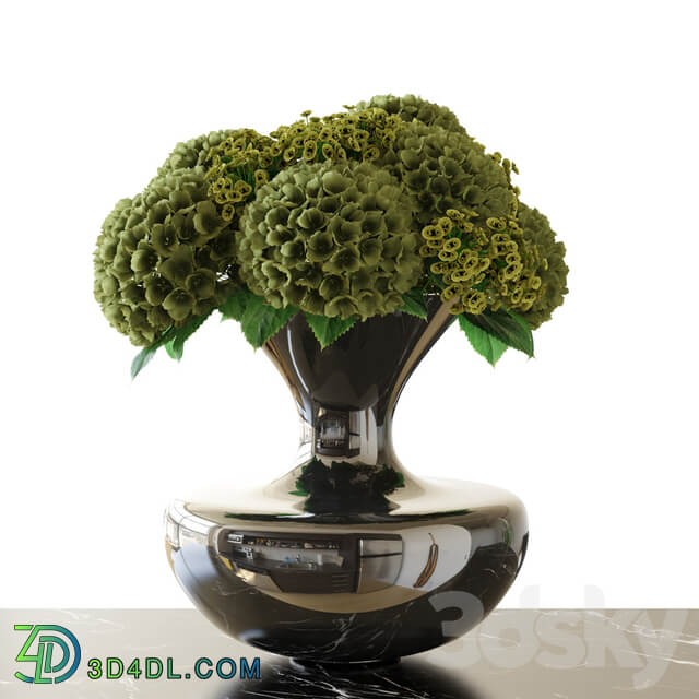 Bouquet Hydrangea 3D Models