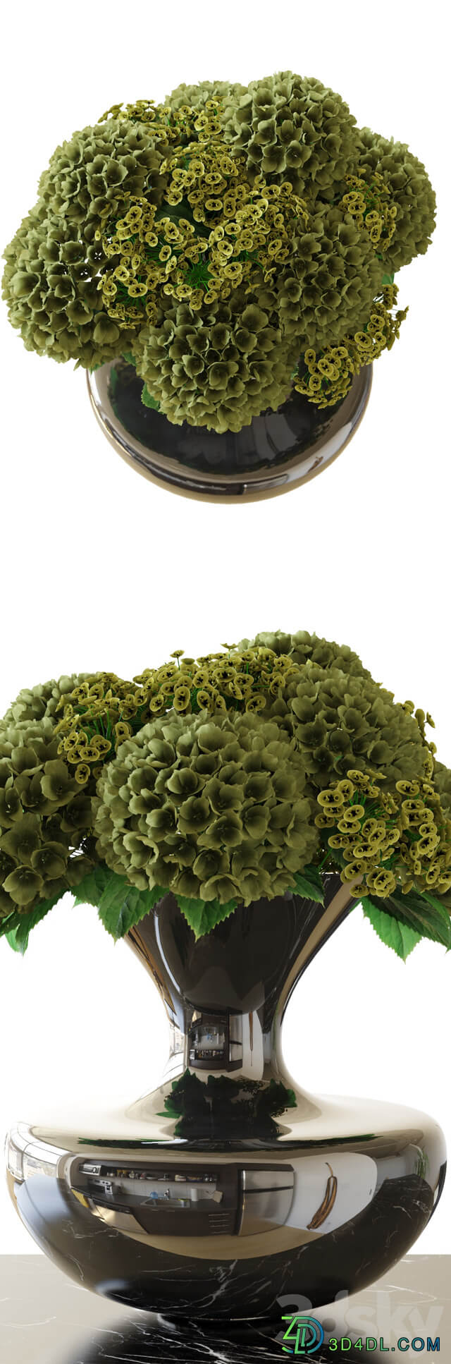 Bouquet Hydrangea 3D Models
