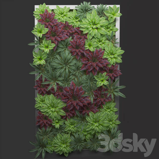 Fitostena Fitowall 3D Models