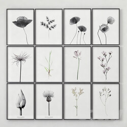 Posters with images of plants 