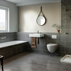 Free Scene-The Bathroom Gray From Region Studio 