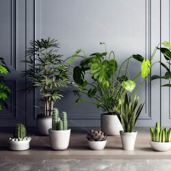 Indoor p3sK4f7n 