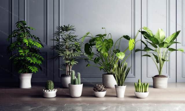 Indoor p3sK4f7n