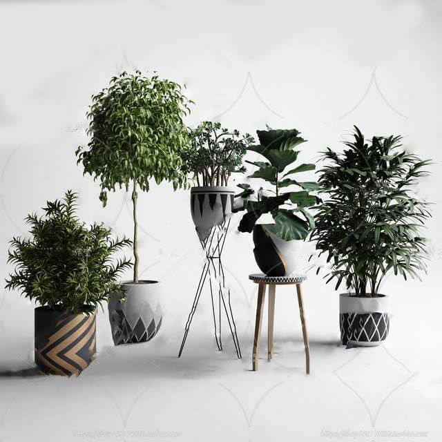 Indoor nxIzKPnD