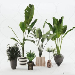 Indoor mdgos06B 