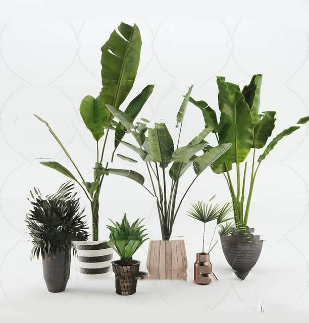 Indoor mdgos06B
