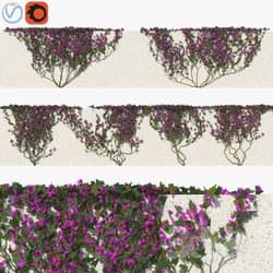 Outdoor Ivy with Flowers 01 