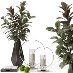 decorative set with accessories from Z Gallerie 