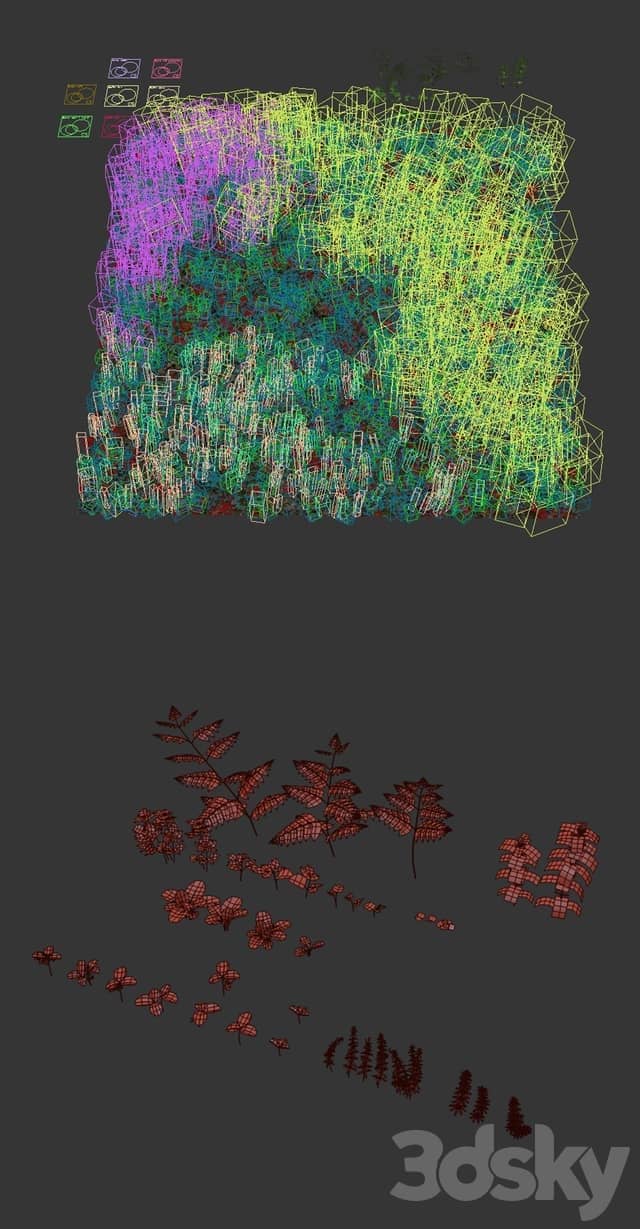 Forest grass