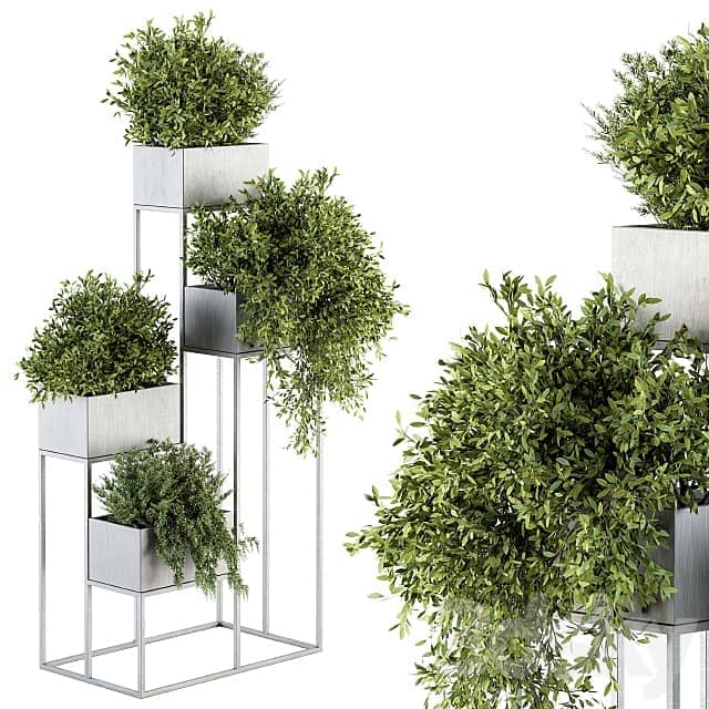 indoor Plant Set 213 Silver Plant Stand