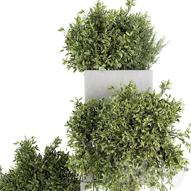 indoor Plant Set 213 Silver Plant Stand