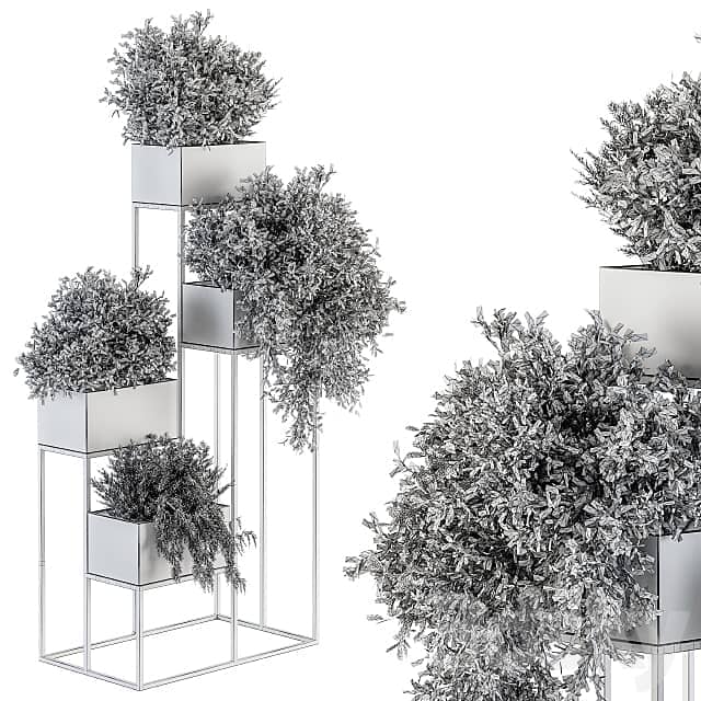 indoor Plant Set 213 Silver Plant Stand