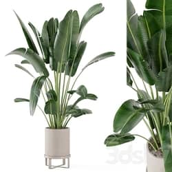Indoor Plants in Ferm Living Bau Pot Large Set 173 