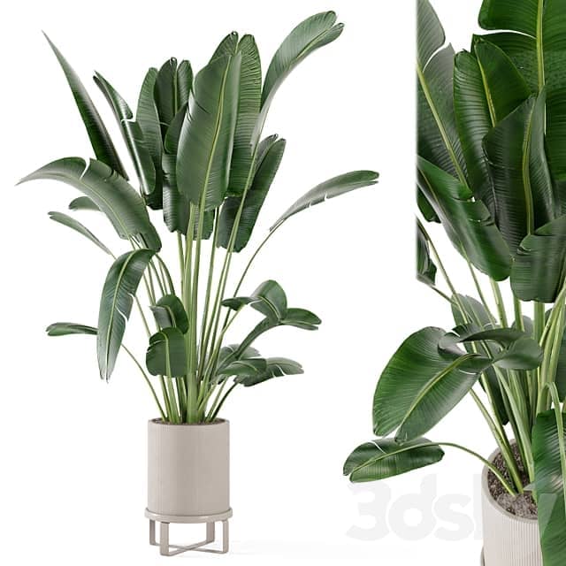 Indoor Plants in Ferm Living Bau Pot Large Set 173