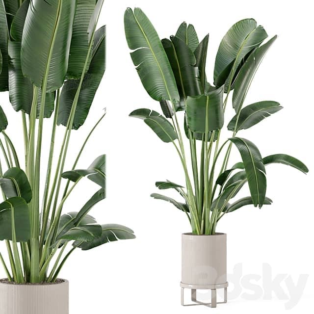 Indoor Plants in Ferm Living Bau Pot Large Set 173