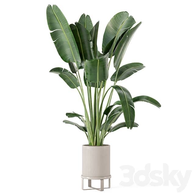 Indoor Plants in Ferm Living Bau Pot Large Set 173
