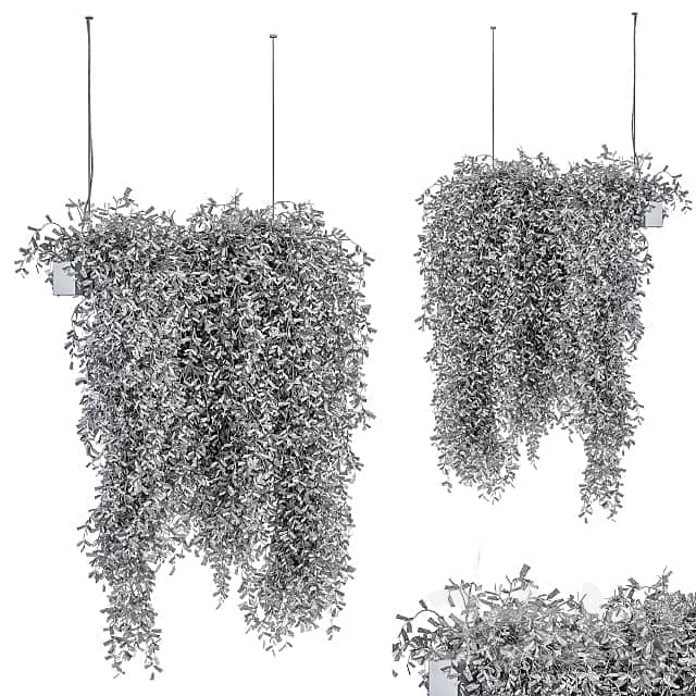 indoor Plant Set 287 Hanging Plants