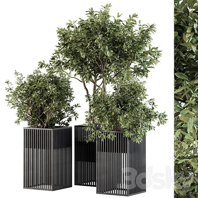 Outdoor Plant Set 276 Plant Set in Metal Pot