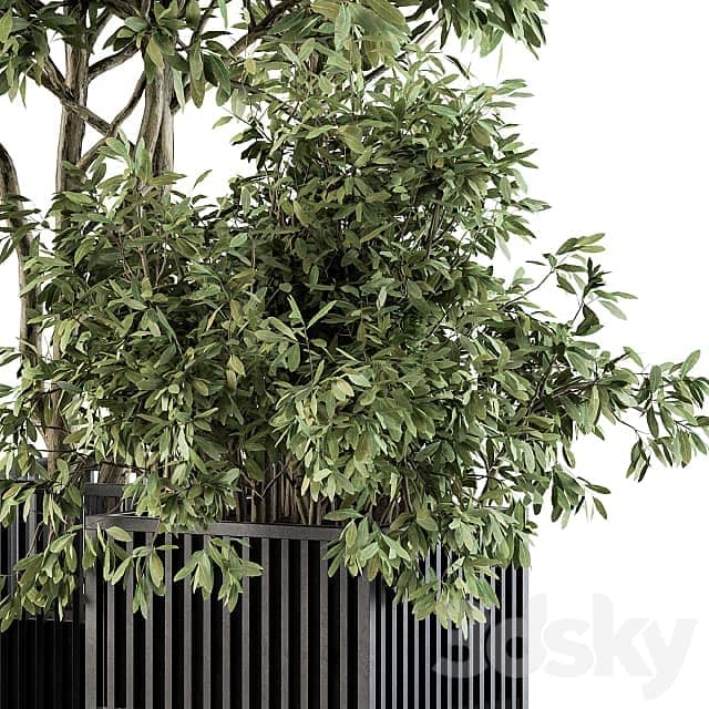 Outdoor Plant Set 276 Plant Set in Metal Pot