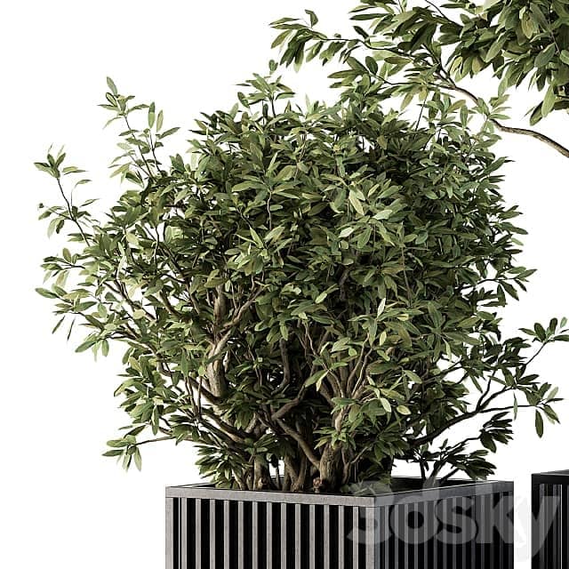 Outdoor Plant Set 276 Plant Set in Metal Pot