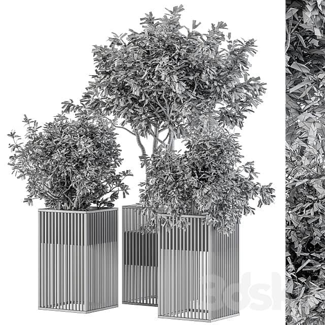 Outdoor Plant Set 276 Plant Set in Metal Pot