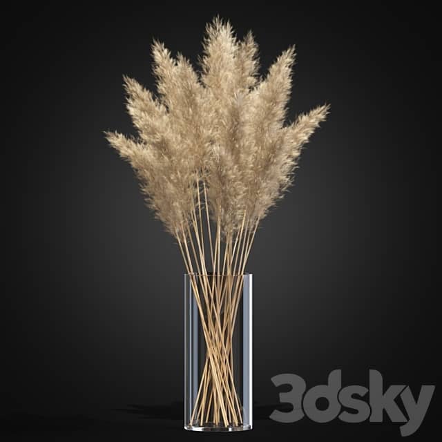 Decorative Pampas